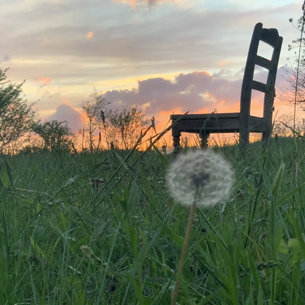 A single empty wooden chair standing in tall summer grass under a sunset sky